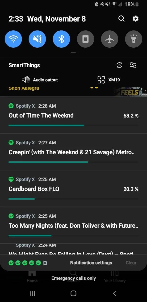 Screenshot_20231108-023353_Spotify X.webp