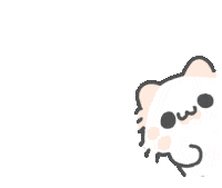 peek-cat.gif