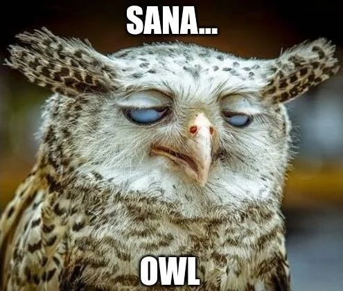 sana-owl-meme1.webp