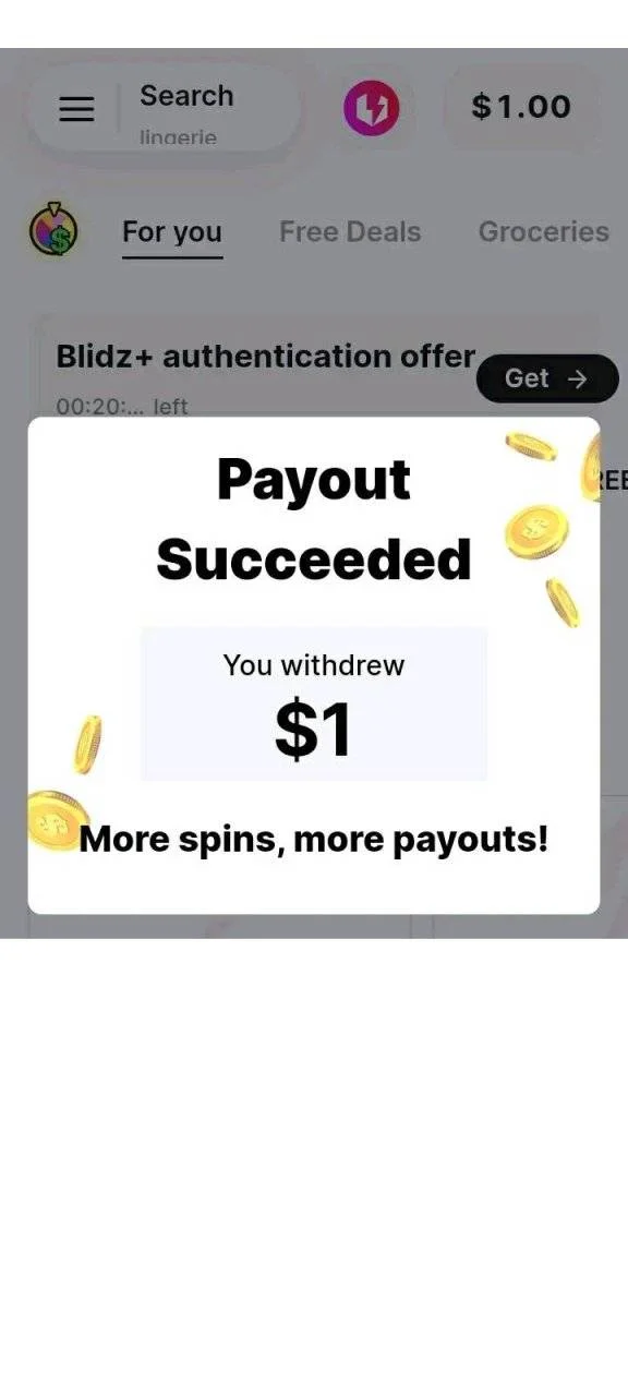 paypal ko 2.jpg