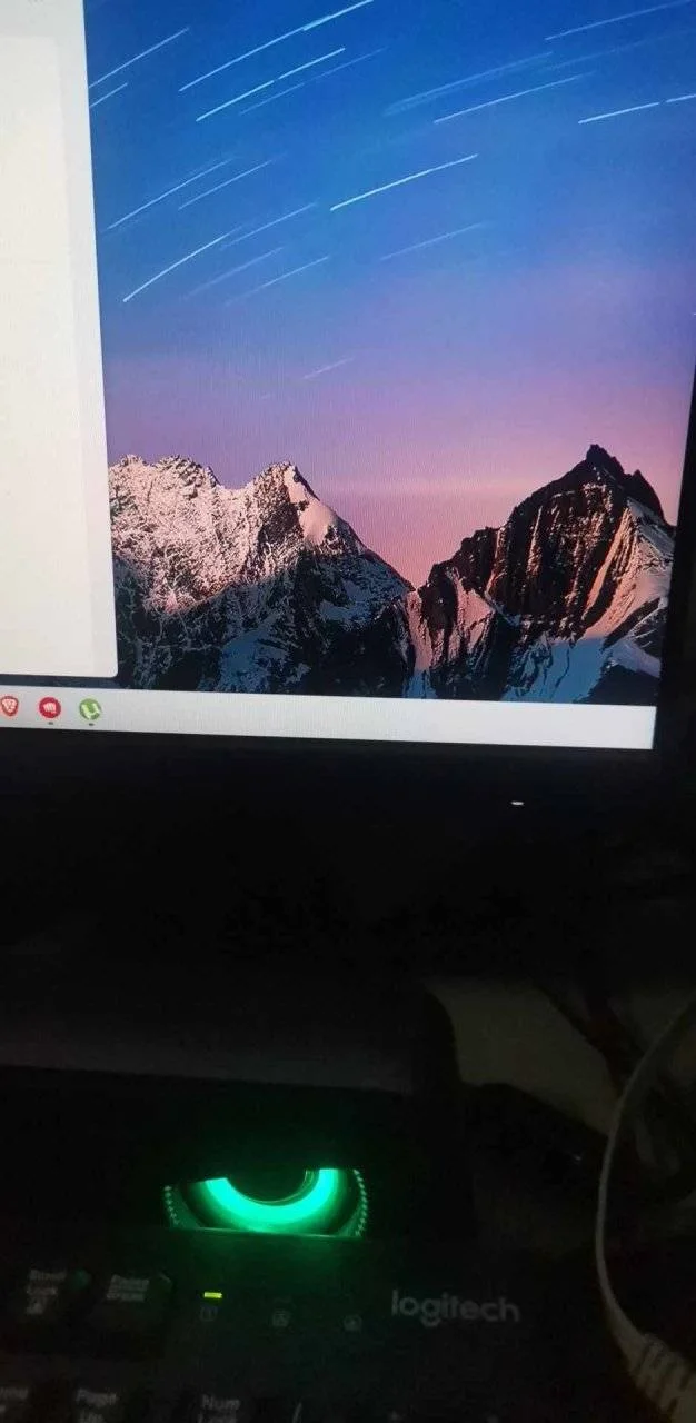 370221307_303275662533603_9160860444277422970_n.webp