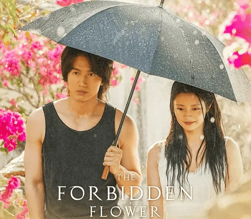 The Forbidden Flower (2023) 720p | Tagalog Dubbed