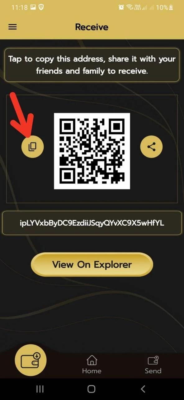 orca-image--1888870914.jpeg
