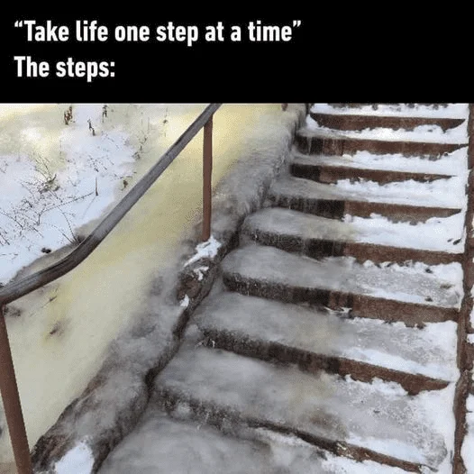 1702643427558.webp