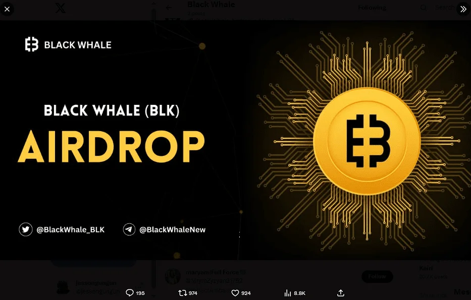 black whale.webp