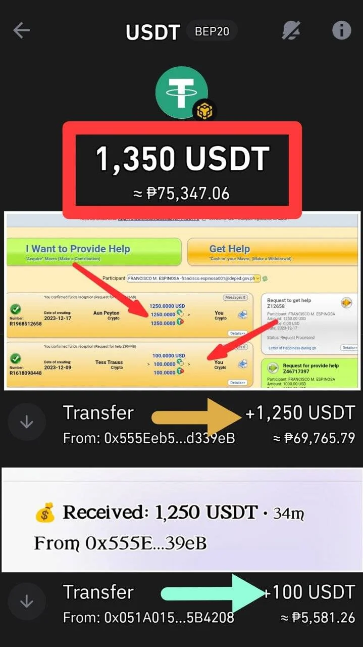 411809468_27837355899188804_4009972335183976278_n.webp
