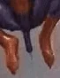 1703308257243.webp