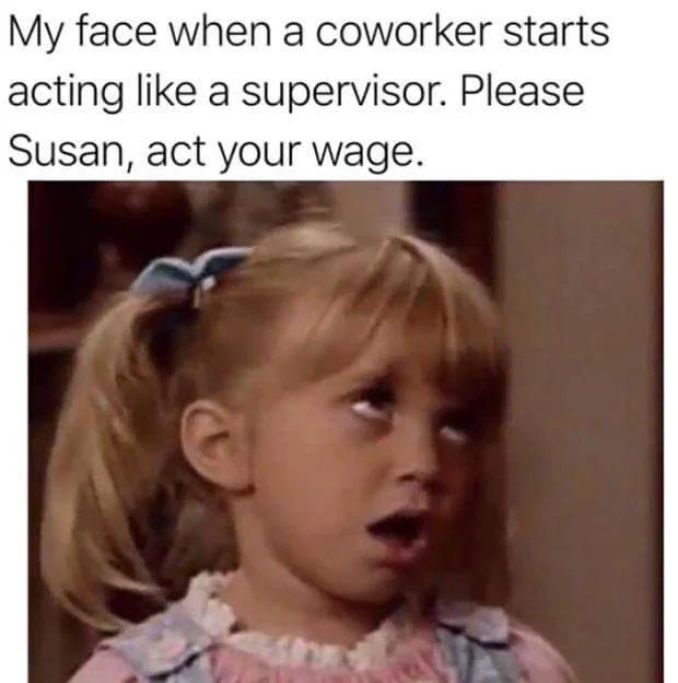 FB_IMG_1703554266996.webp