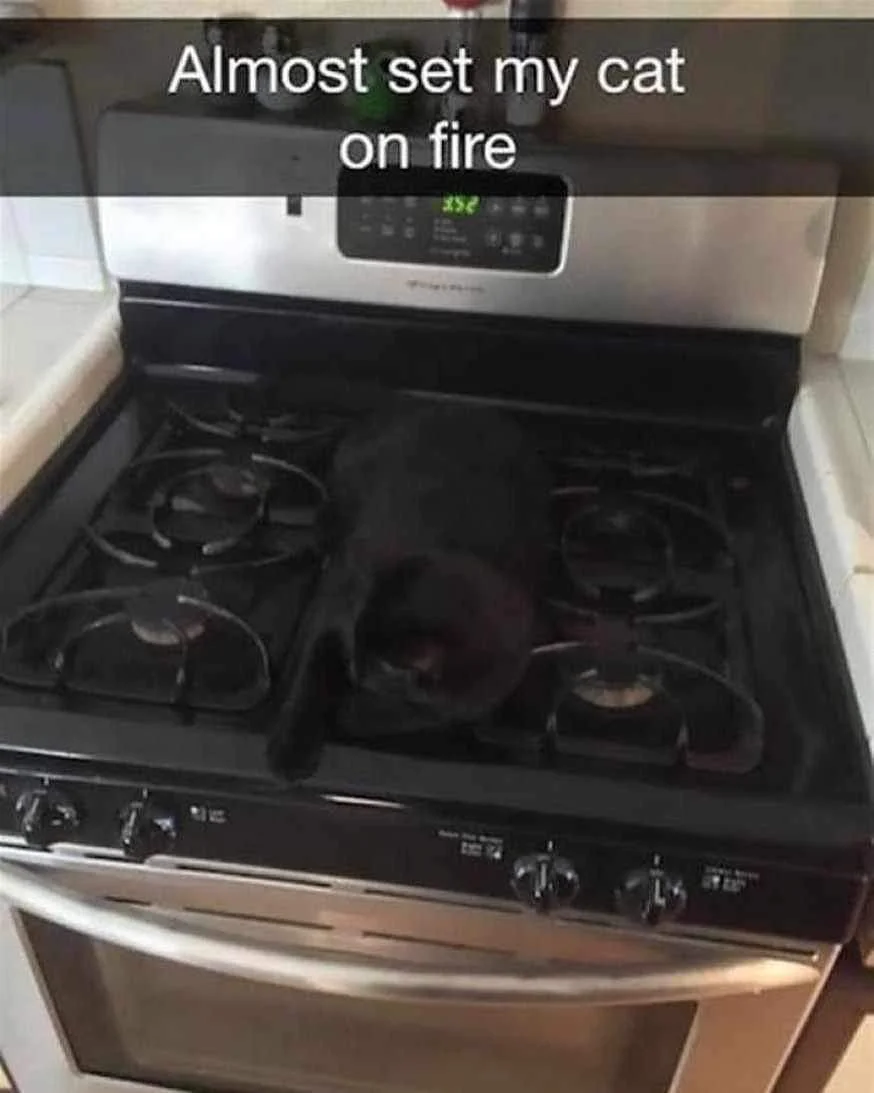 FB_IMG_1703749975981.webp