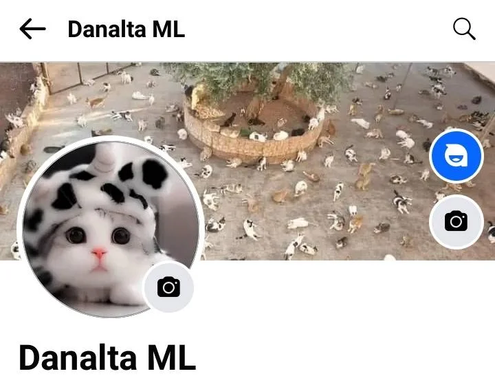 Screenshot_20231231-033719.jpg