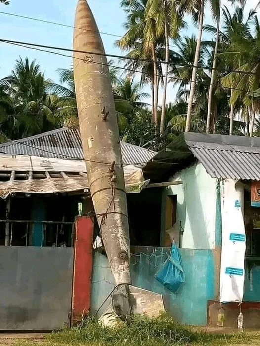 1703988250462.webp