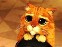 upload_2015-5-1_16-8-44.webp