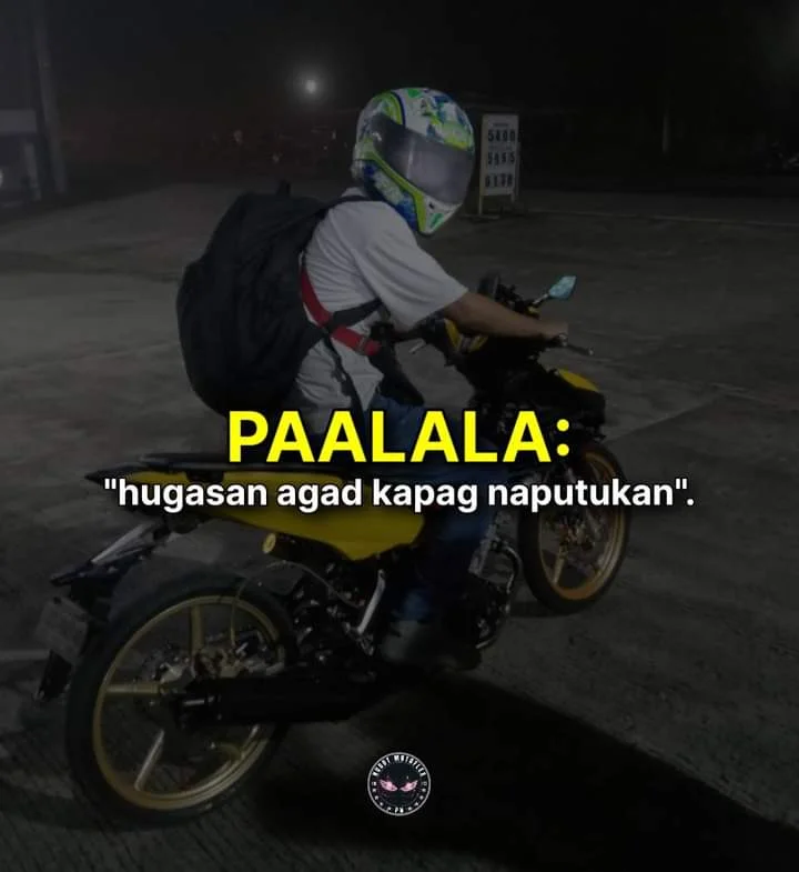 FB_IMG_1704193602231.webp