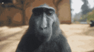 1704247990180.gif