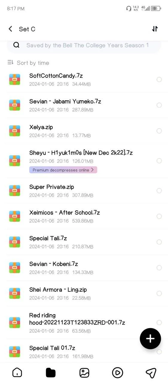 Screenshot_20240106-201720.webp