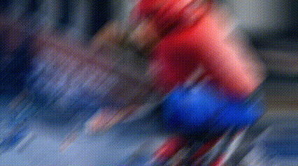 spider.gif