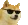 cooldog.png