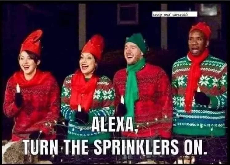 FB_IMG_1705552309345.webp