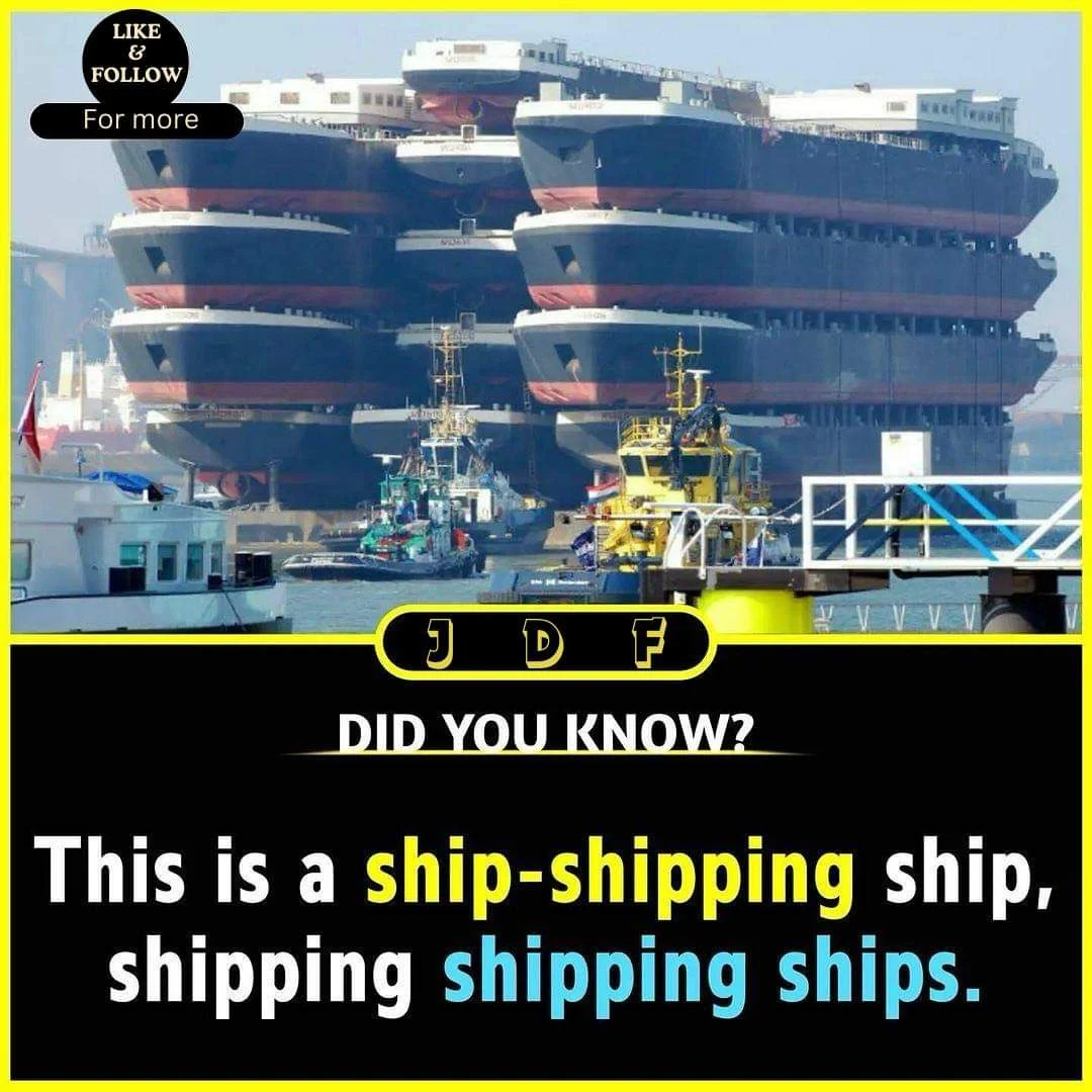 FB_IMG_1705669277299.jpg
