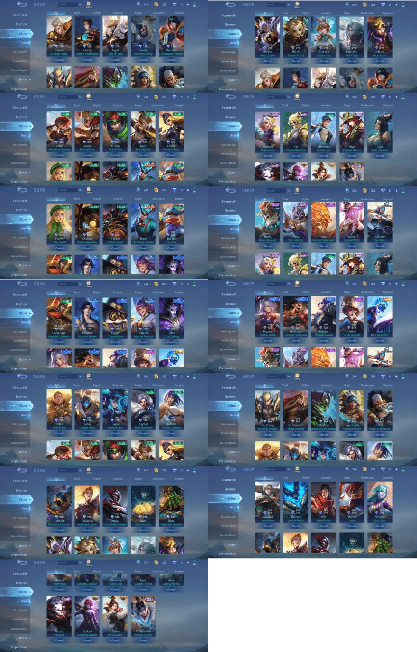 SKINS.png
