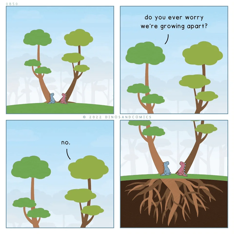 1706614945046.webp
