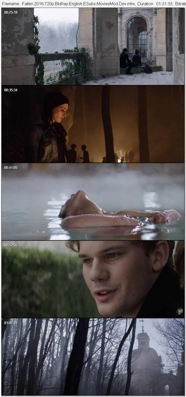 fallen ss.webp