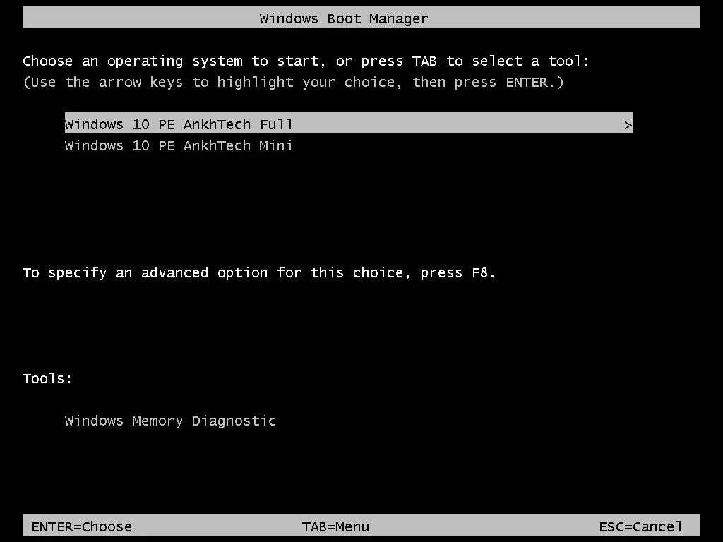v6full1_orig.webp