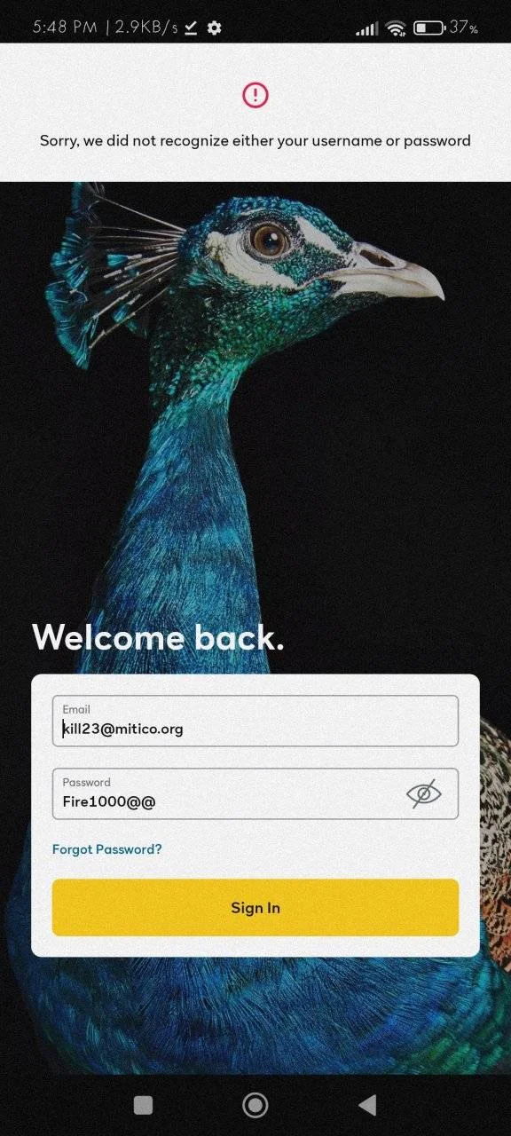 Screenshot_2024-02-14-17-48-09-260_com.peacocktv.peacockandroid.webp