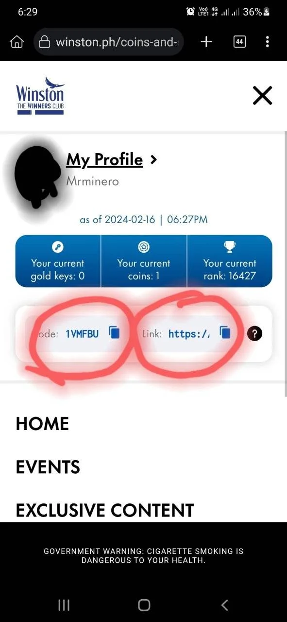 Screenshot_20240216-182902_Kiwi Browser.webp