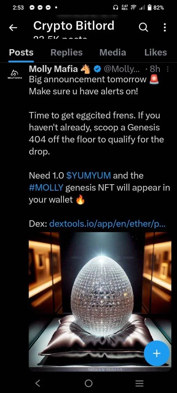 428681929_945935020209760_5319622154452118781_n.jpg