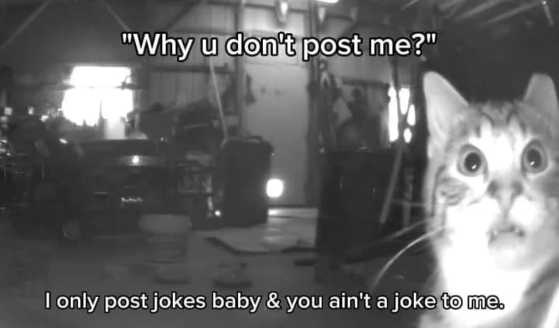 joke.jpg