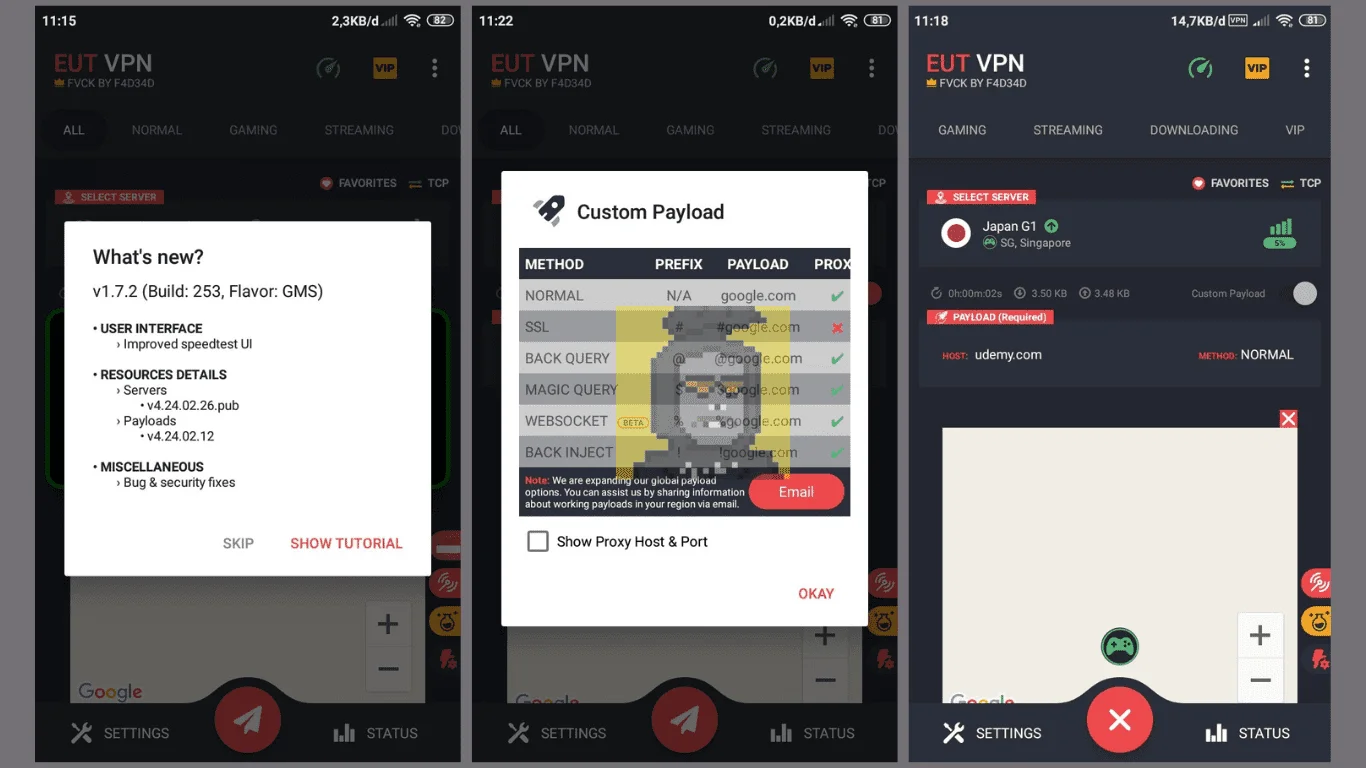 eut vpn VIP