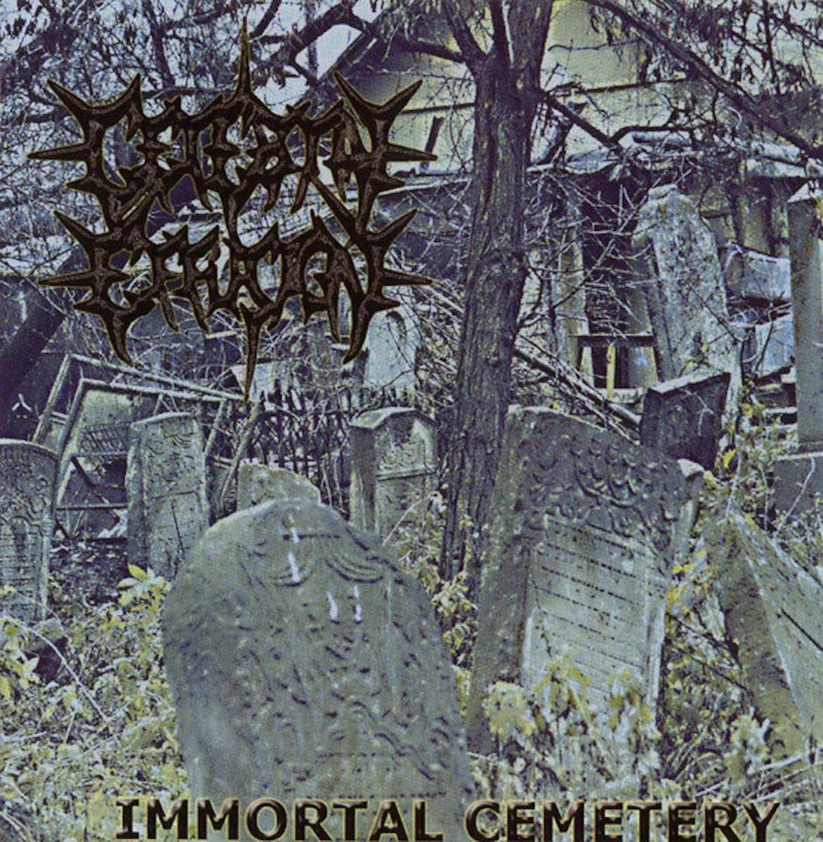 Cerebral Effusion - [ 1999 ] - Immortal Cemetery - [ FLAC (tracks+.cue) 16-Bit 44.1 kHz ]