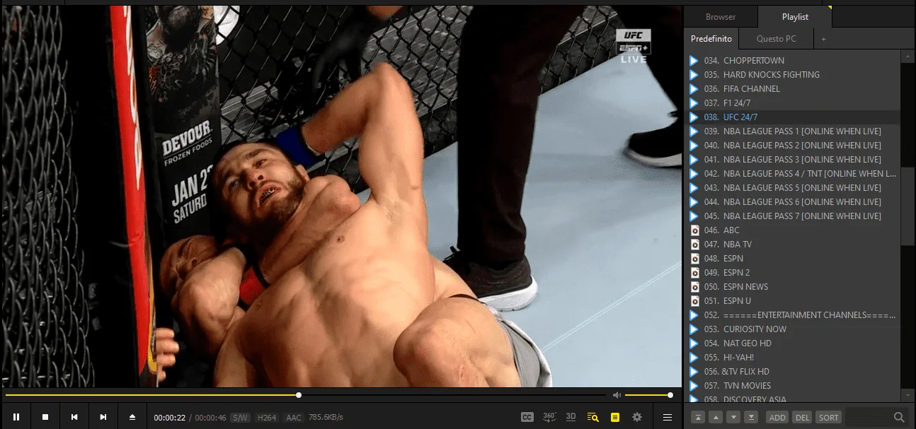 ufc.webp