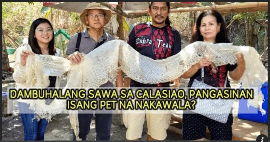1709426498350.webp