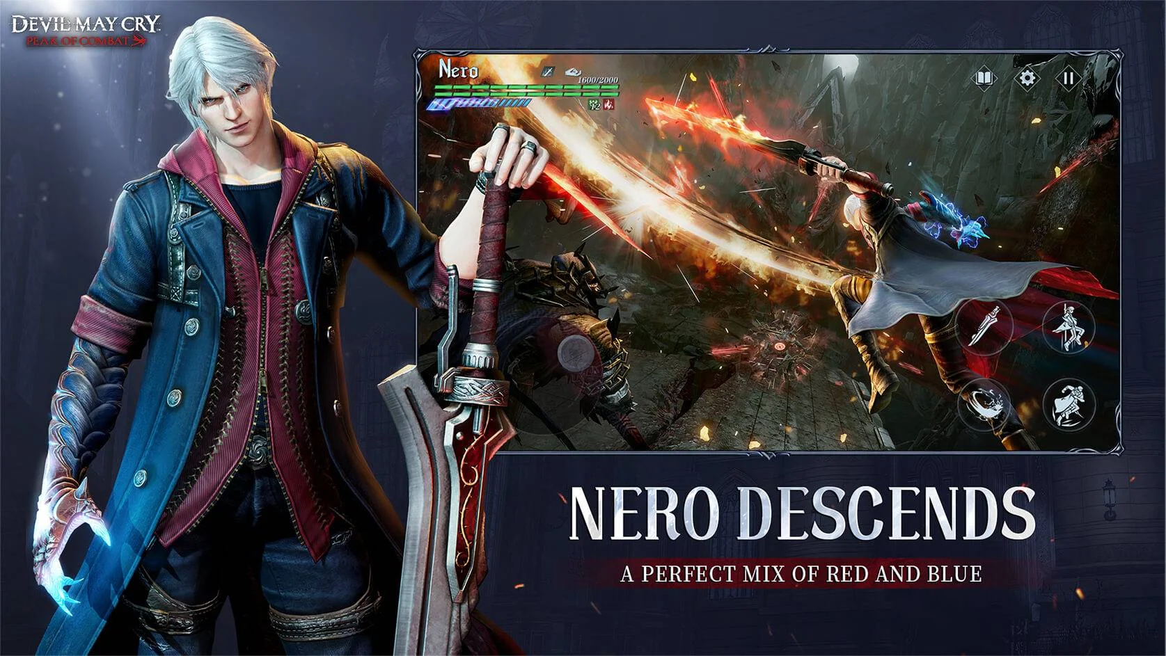 d5.jpg