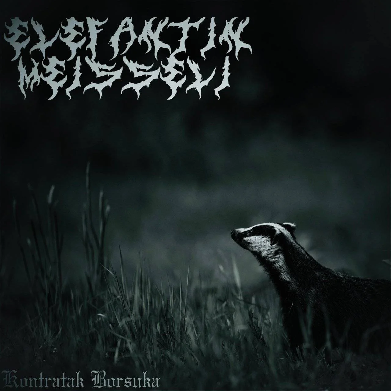 [ Qobuz, Hi-Res FLAC (Tracks) 24-Bit 44.1 kHz ] ELEFANTIN MEISSELI - [ 2024 ] - Kontratak Borsuka (Death)