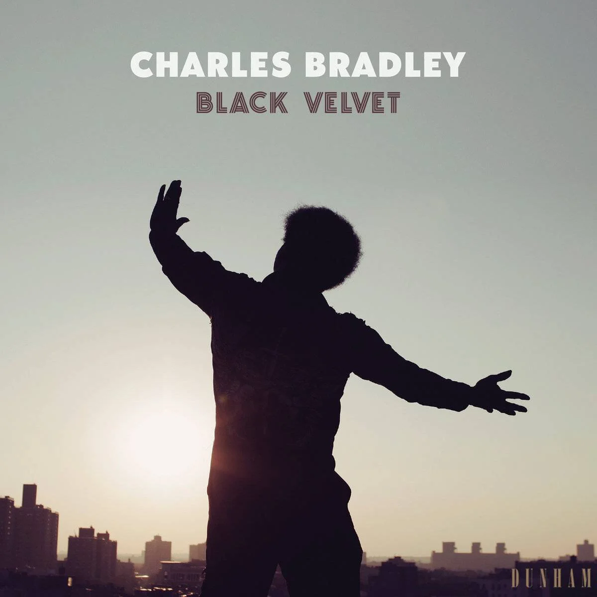 [ Hi-Res 24-bit 88.2 kHz ] Charles Bradley - [ 2018 ] - Black Velvet - [ FLAC (tracks) ] + Album Booklet (PDF)