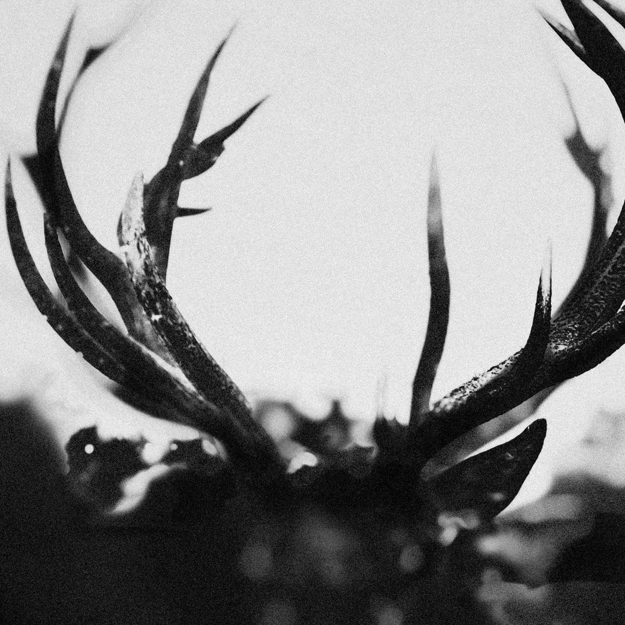 [ HDtracks, Hi-Res FLAC (Tracks) 24-Bit 48.0 kHz ] Ihsahn - [ 2024 ] - Ihsahn (Experimental, Extreme Progressive)