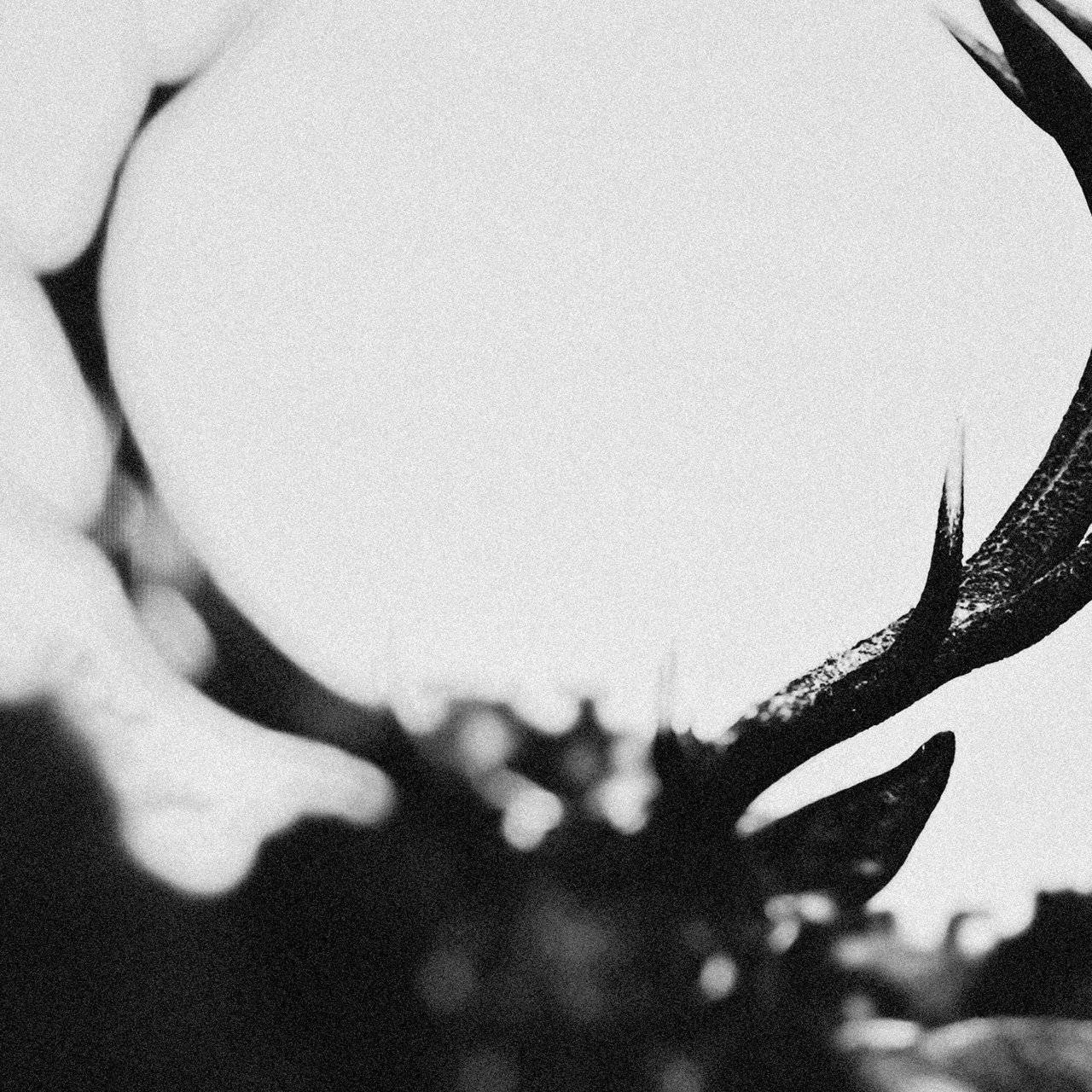 [ HDtracks, Hi-Res FLAC (Tracks) 24-Bit 48.0 kHz ] Ihsahn - [ 2024 ] - Ihsahn (Orchestral Version) (Experimental, Extreme Progressive)