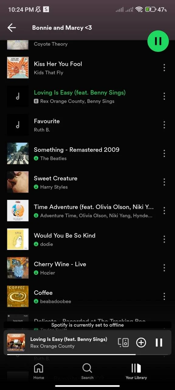 Screenshot_2024-03-15-22-24-42-916_com.spotify.music.webp