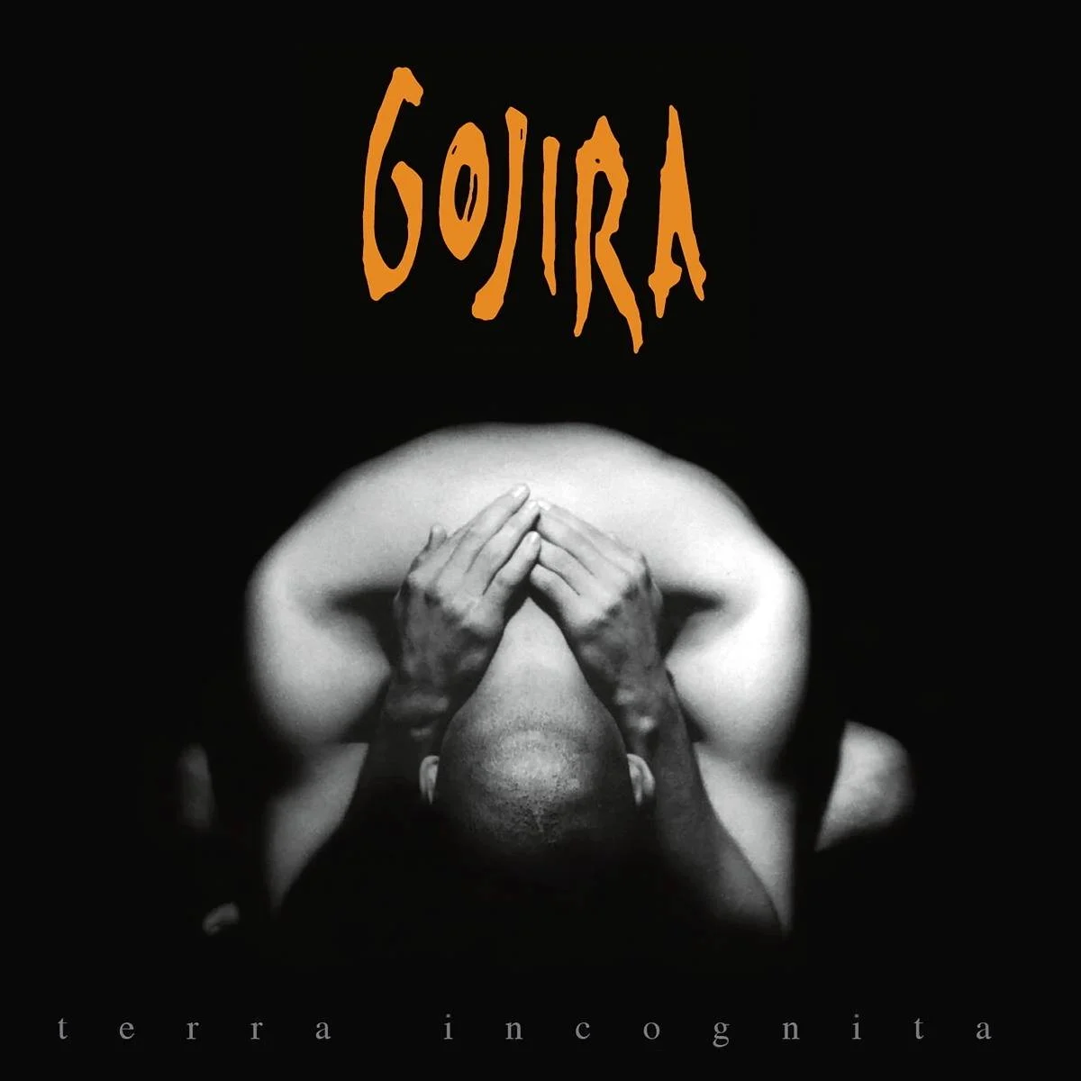 Gojira - [ 2001 ] - Terra Incognita - [ FLAC (tracks+.cue) 16-Bit 44.1 kHz ]