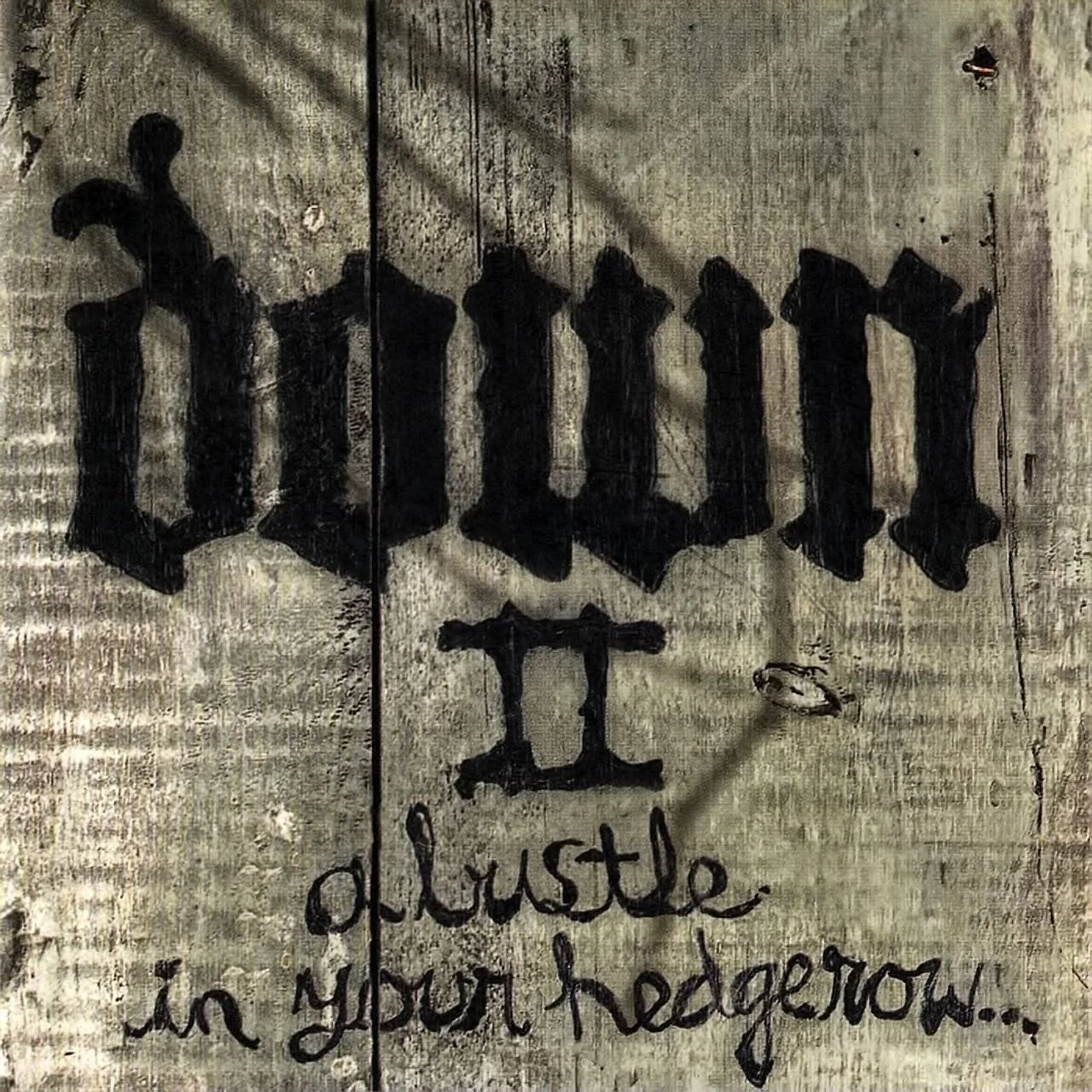 DOWN - [ 2002 ] - A Bustle In Your Hedgerow - [ FLAC (tracks+.cue) 16-Bit 44.1 kHz ]