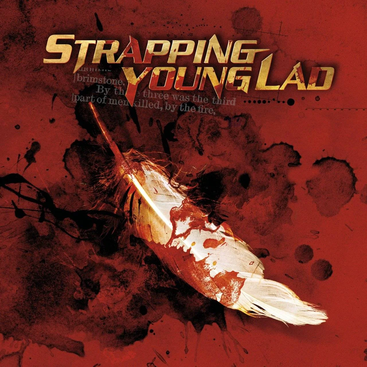 Strapping Young Lad - [ 2003 ] - Strapping Young Lad - [ FLAC (tracks+.cue) 16-Bit 44.1 kHz ]