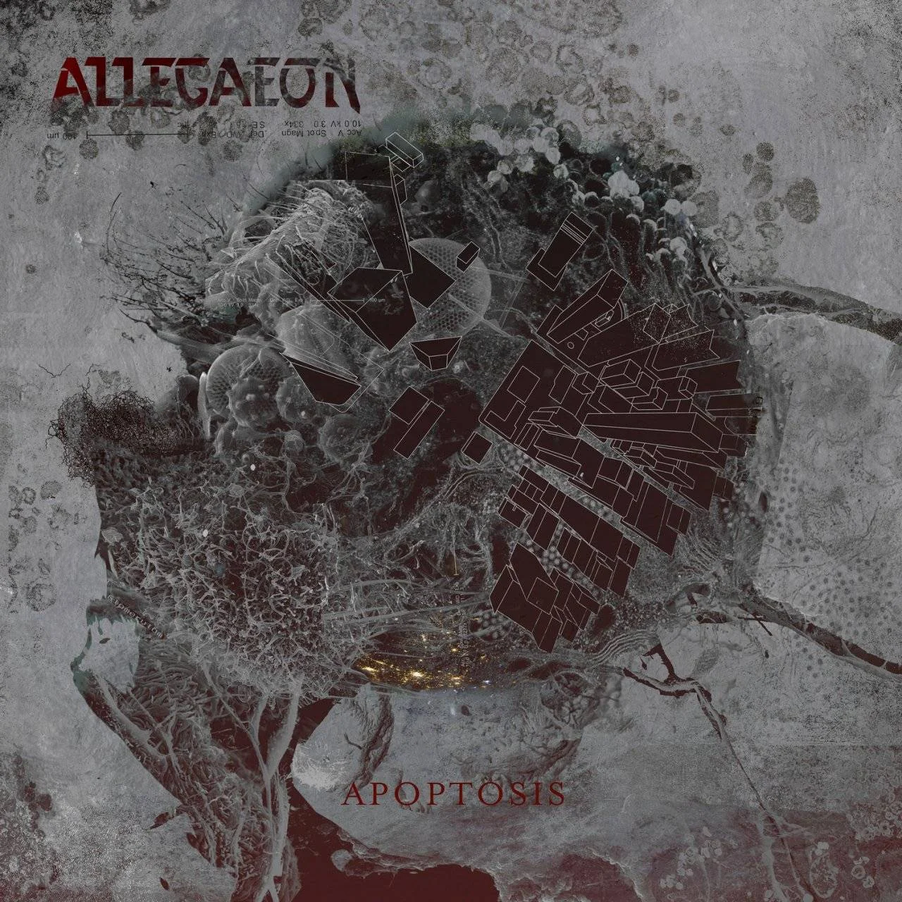 ALLEGAEON - [ 2019 ] - Apoptosis - [ FLAC (tracks+.cue) 16-Bit 44.1 kHz ]