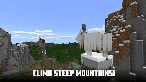 unnamed (2).png
