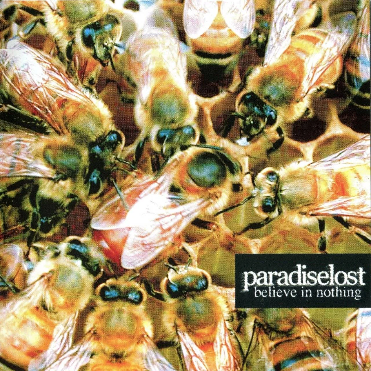PARADISE LOST - [ 2001 ] - Believe In Nothing - [ FLAC (tracks+.cue) 16-Bit 44.1 kHz ]