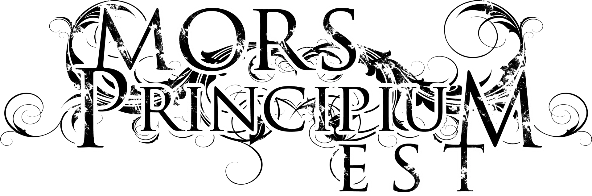 1711605400110.webp
