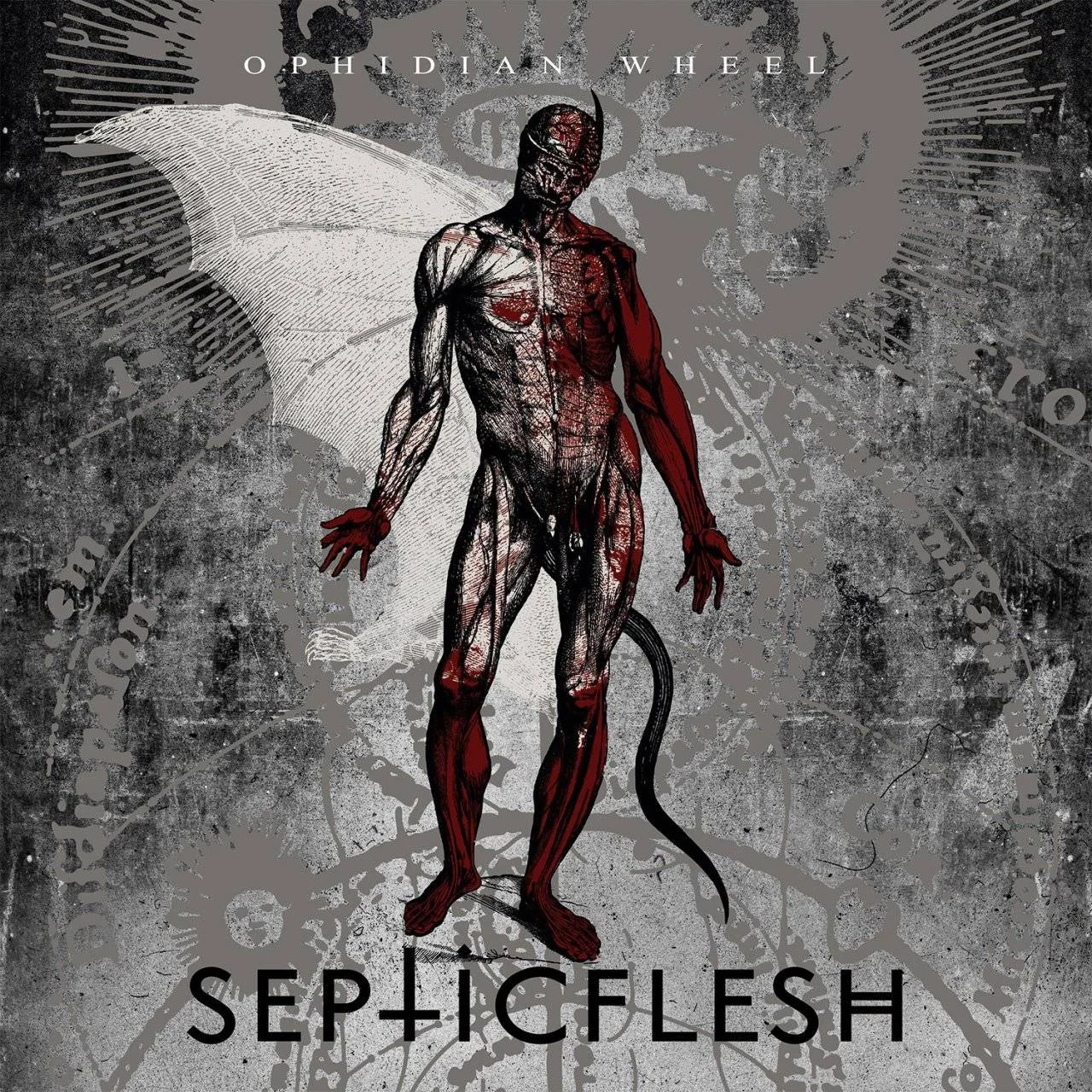 SEPTICFLESH - [ 1997 ] - Ophidian Wheel - [ FLAC (tracks+.cue) 16-Bit 44.1 kHz ]