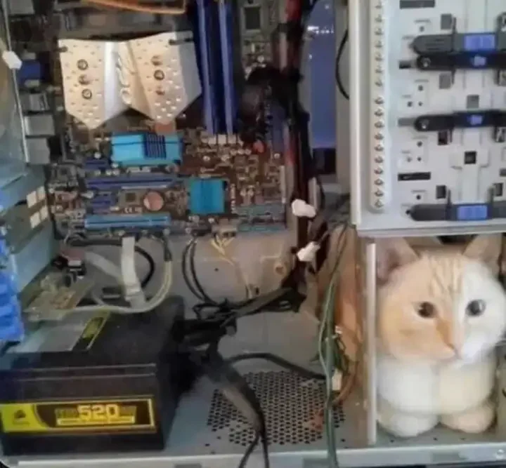 Cat Processing Unit.webp